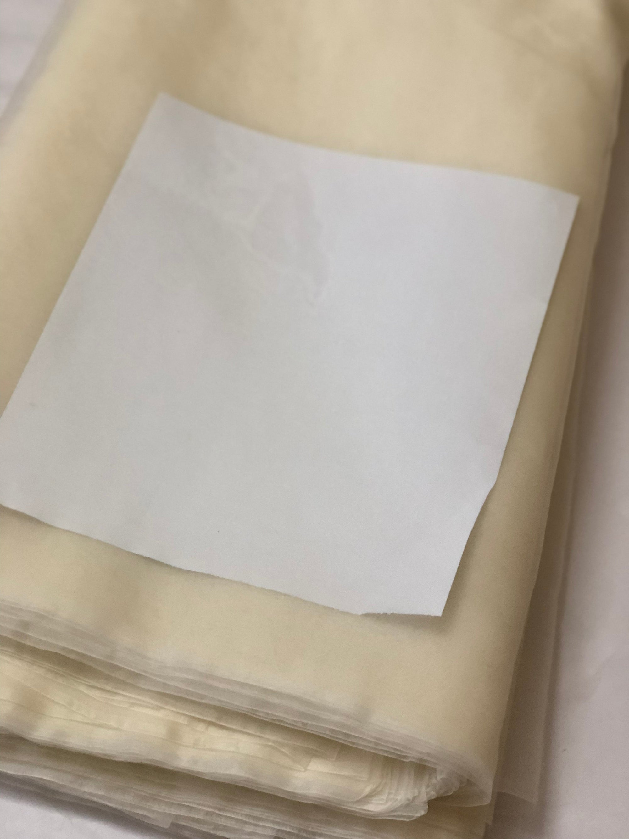 DYEABLE PURE SILK ORGANZA FABRIC 27 GRAMS