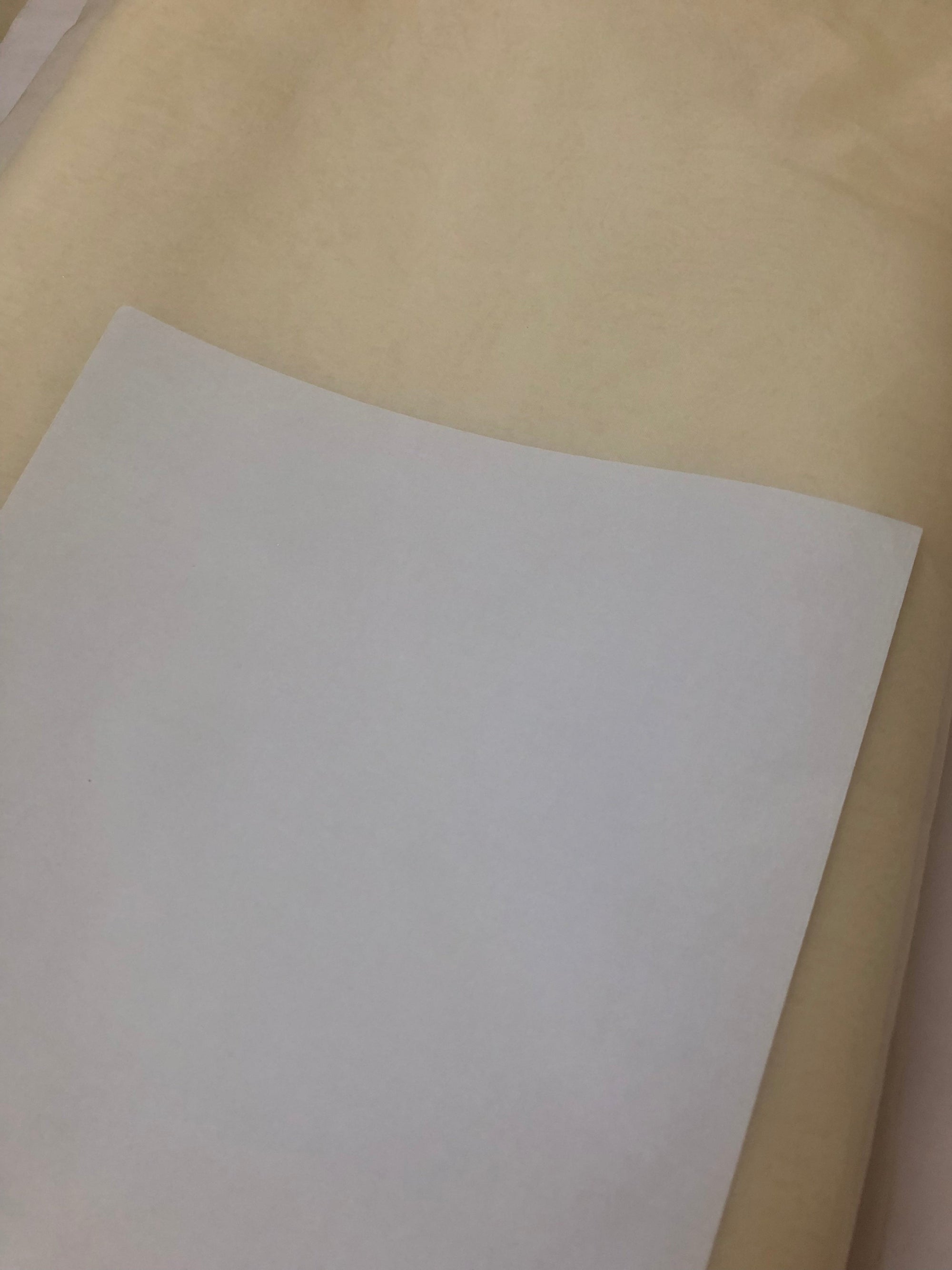 DYEABLE PURE SILK ORGANZA FABRIC 27 GRAMS