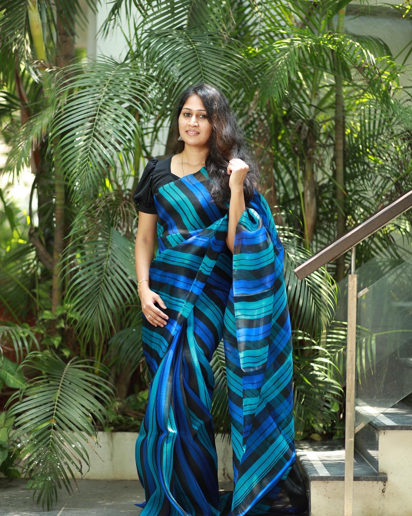 Hand brushed pure silk organza saree