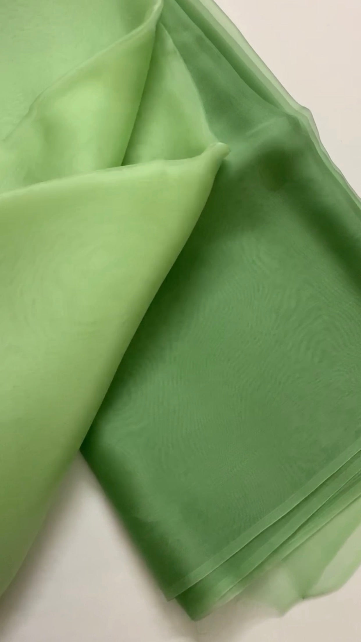 PURE SILK ORGANZA DUPATTA