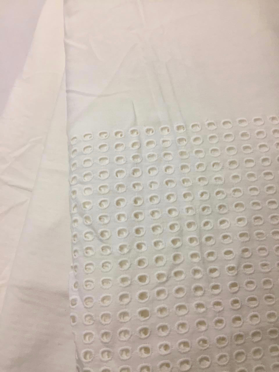 Chikankari hakoba cotton fabric