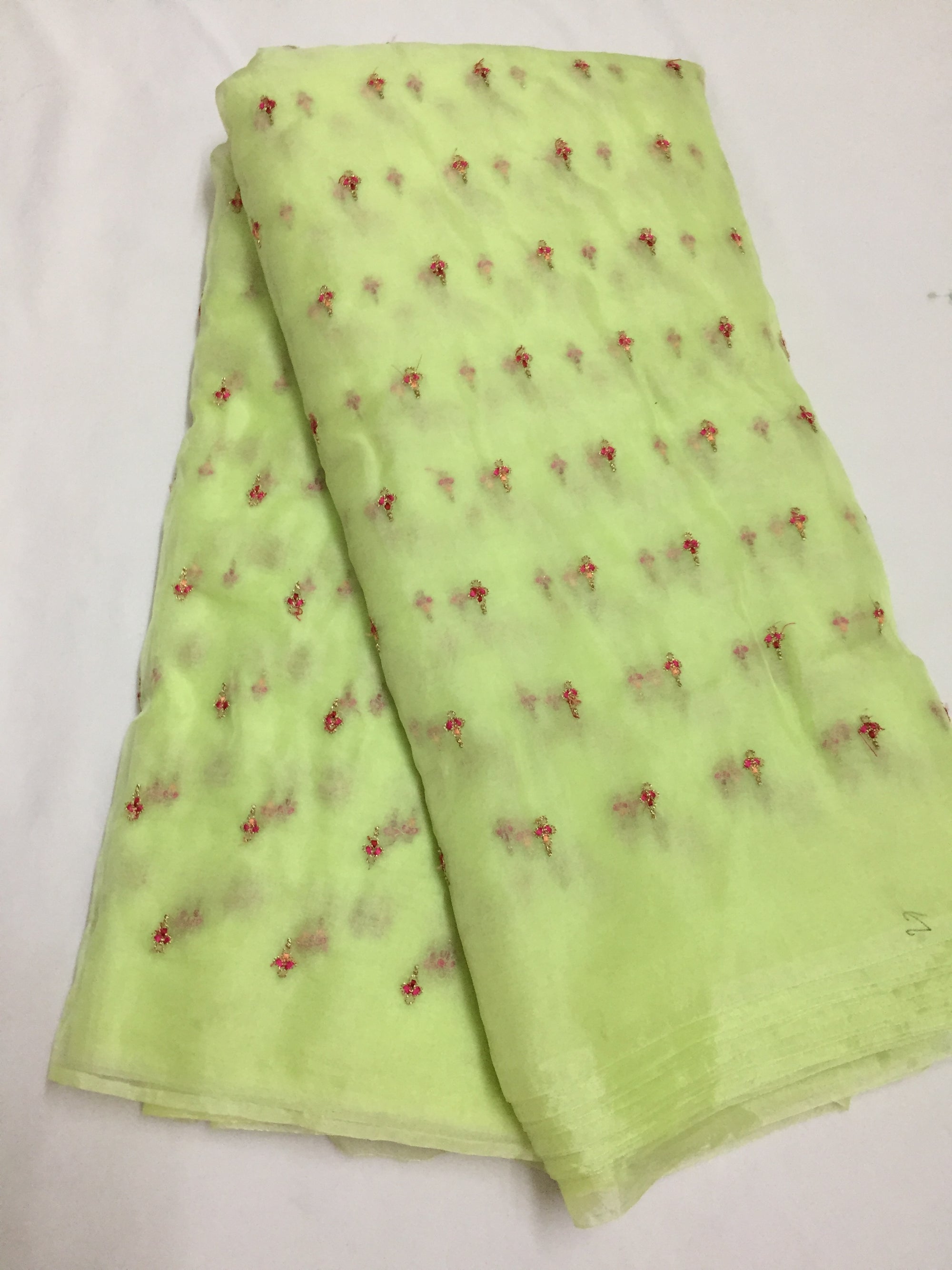 Embroidery on organza saree