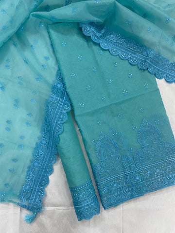 Banarasi organza Chikankari suits