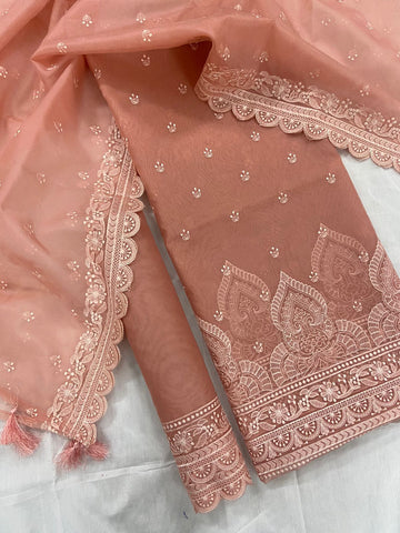 Banarasi organza Chikankari suits