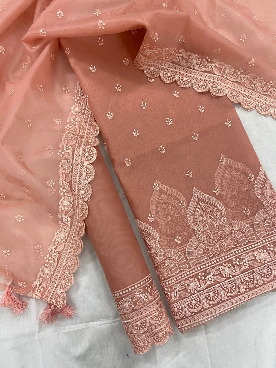 Banarasi organza Chikankari suits