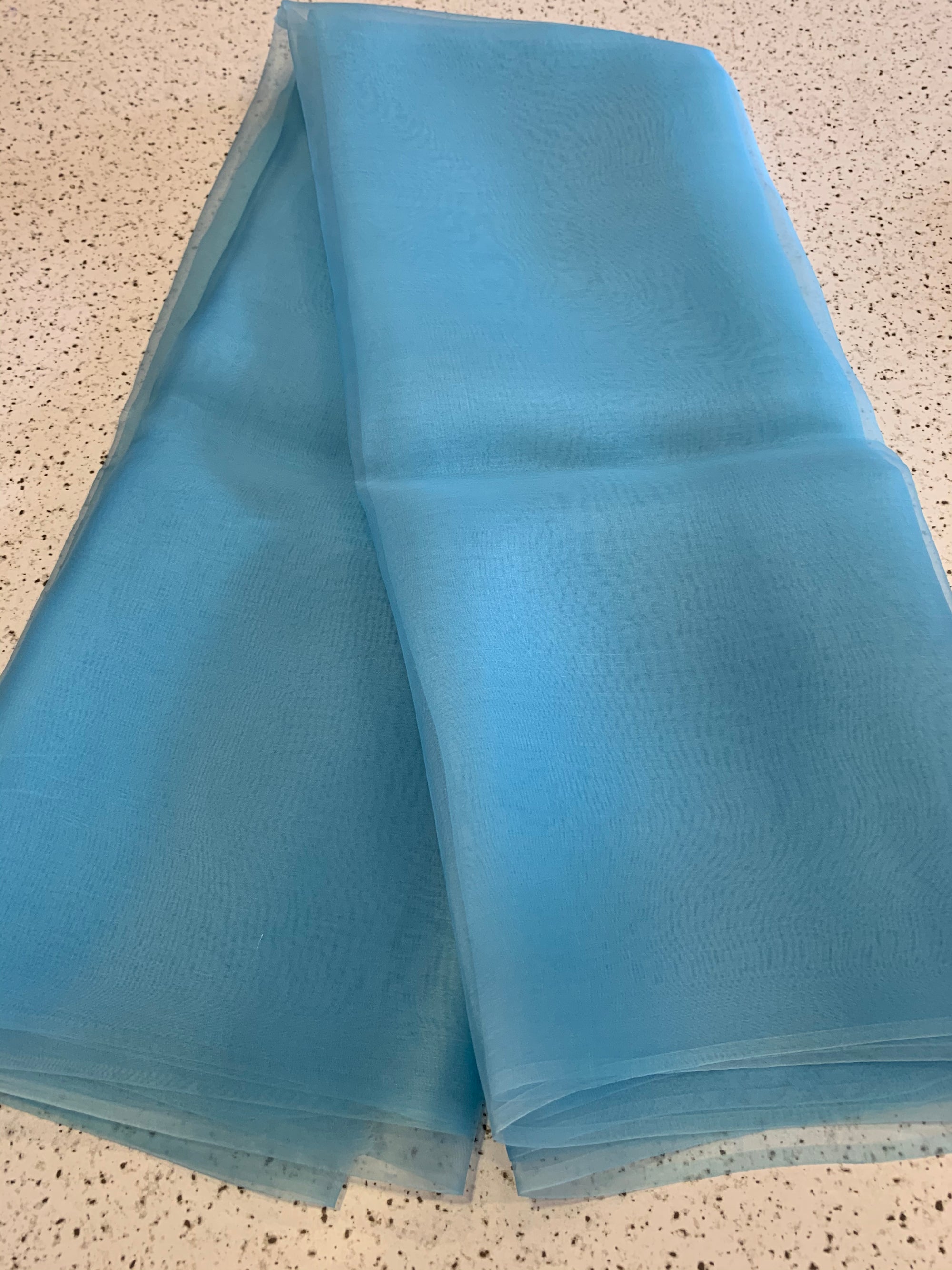 PURE SILK ORGANZA SAREE