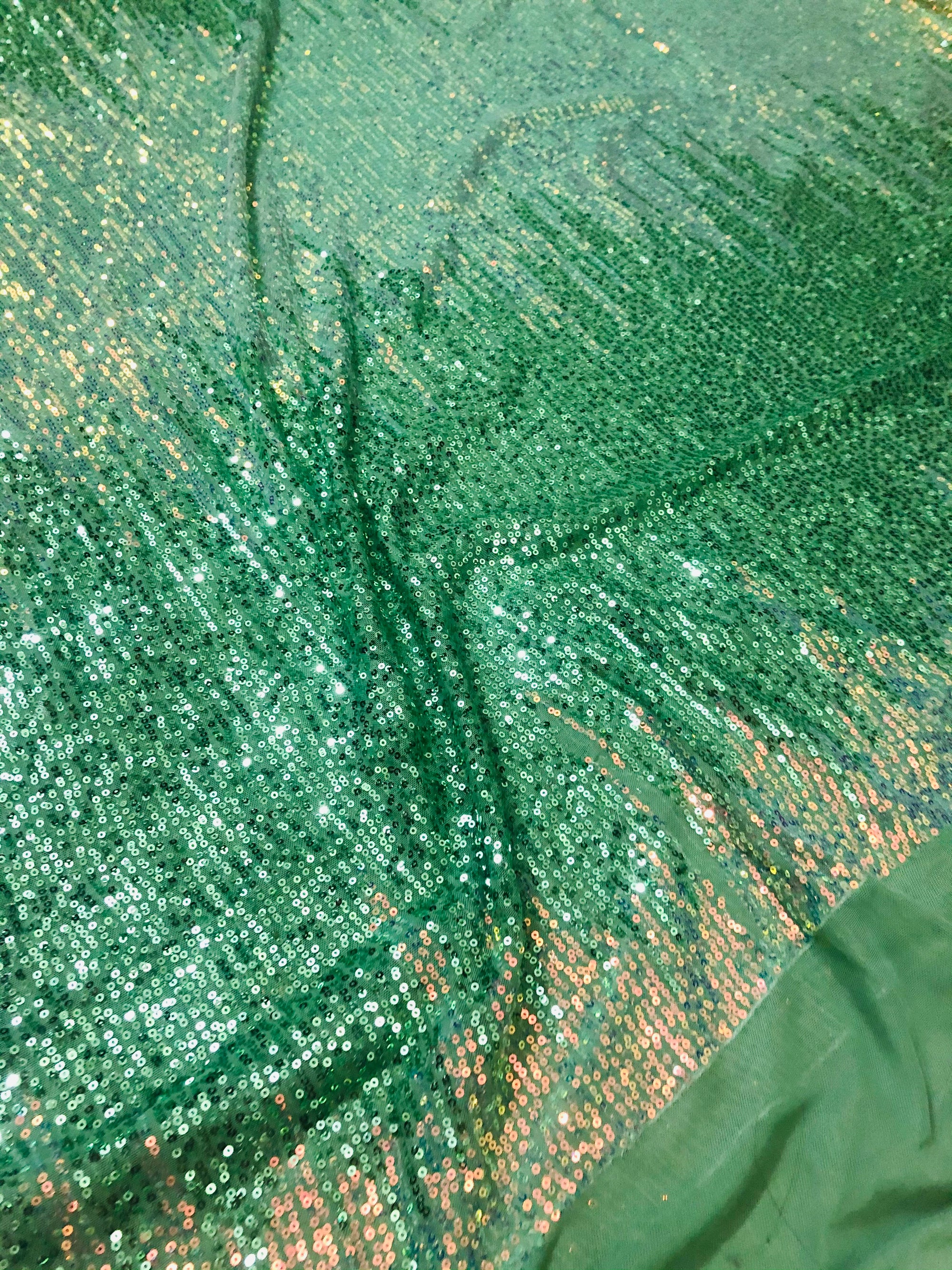 Sequins on micro Lycra net fabric