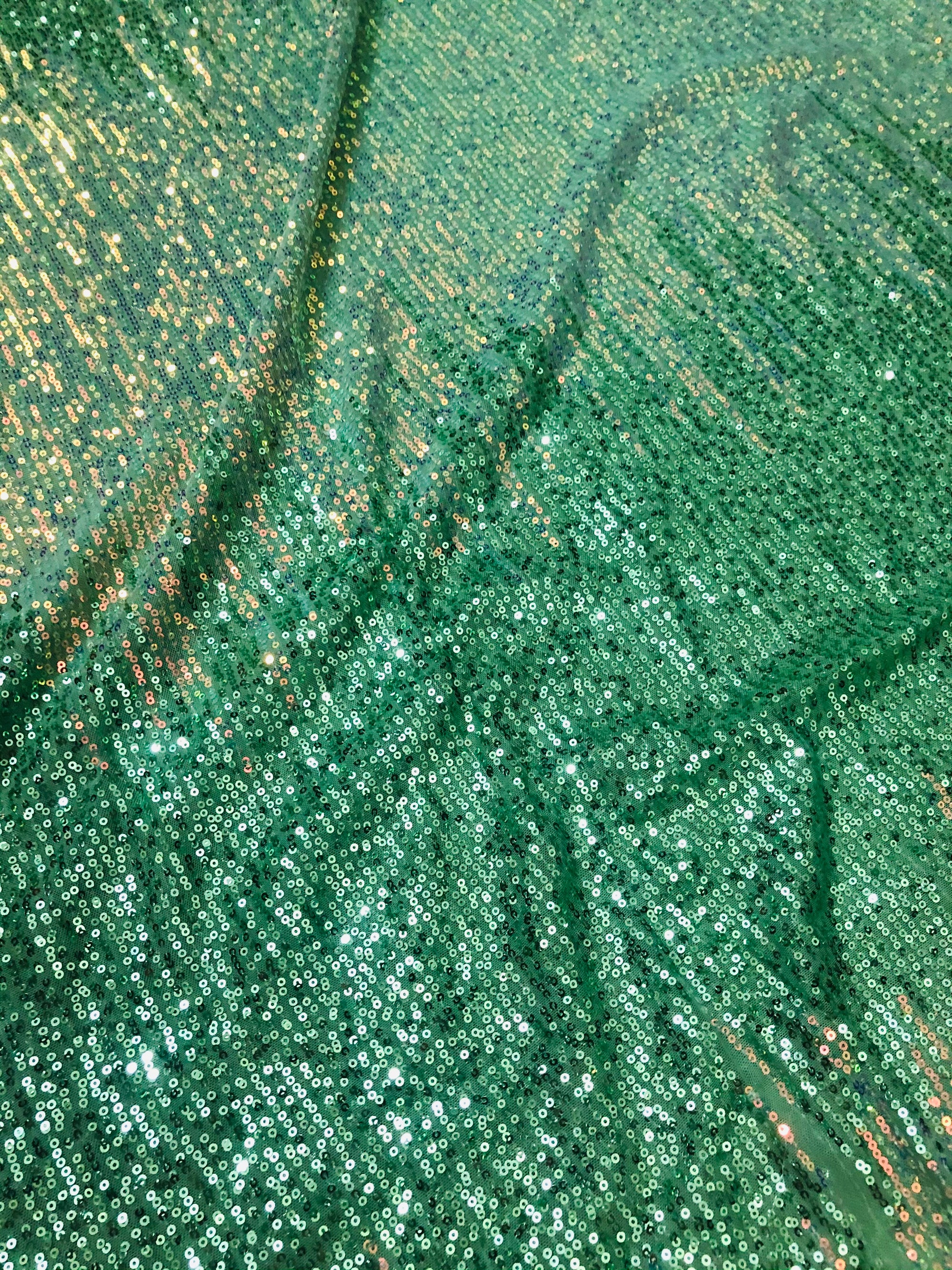 Sequins on micro Lycra net fabric