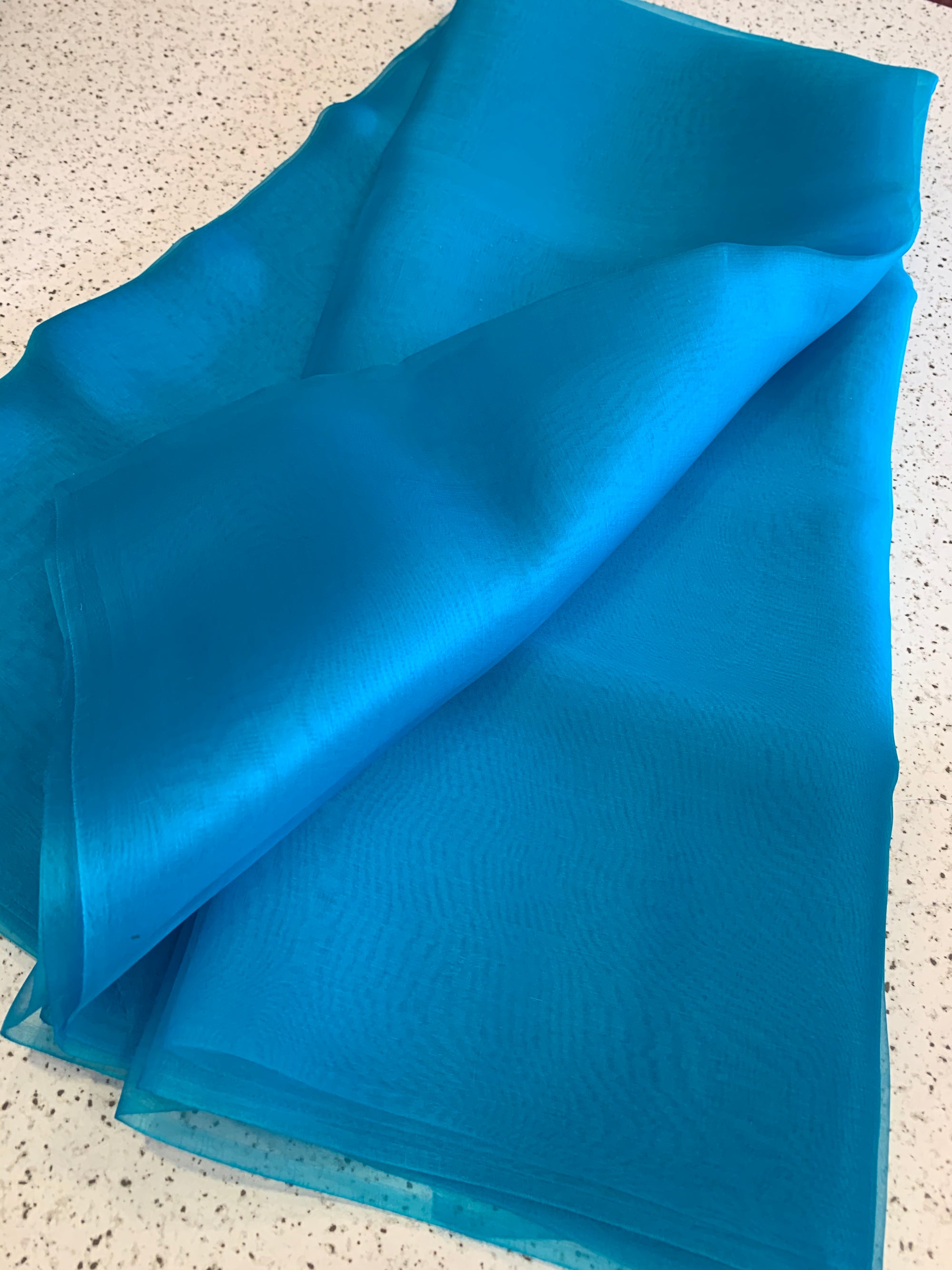 PURE SILK ORGANZA SAREE