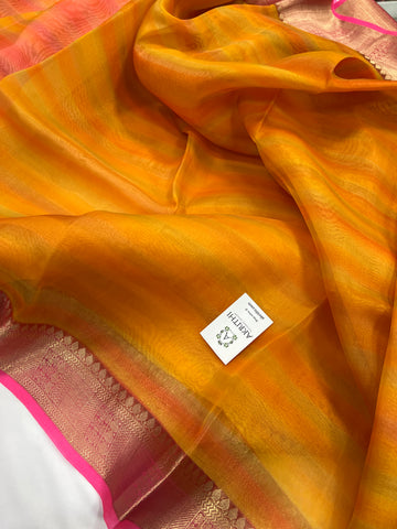 Hand brushed pure silk organza saree