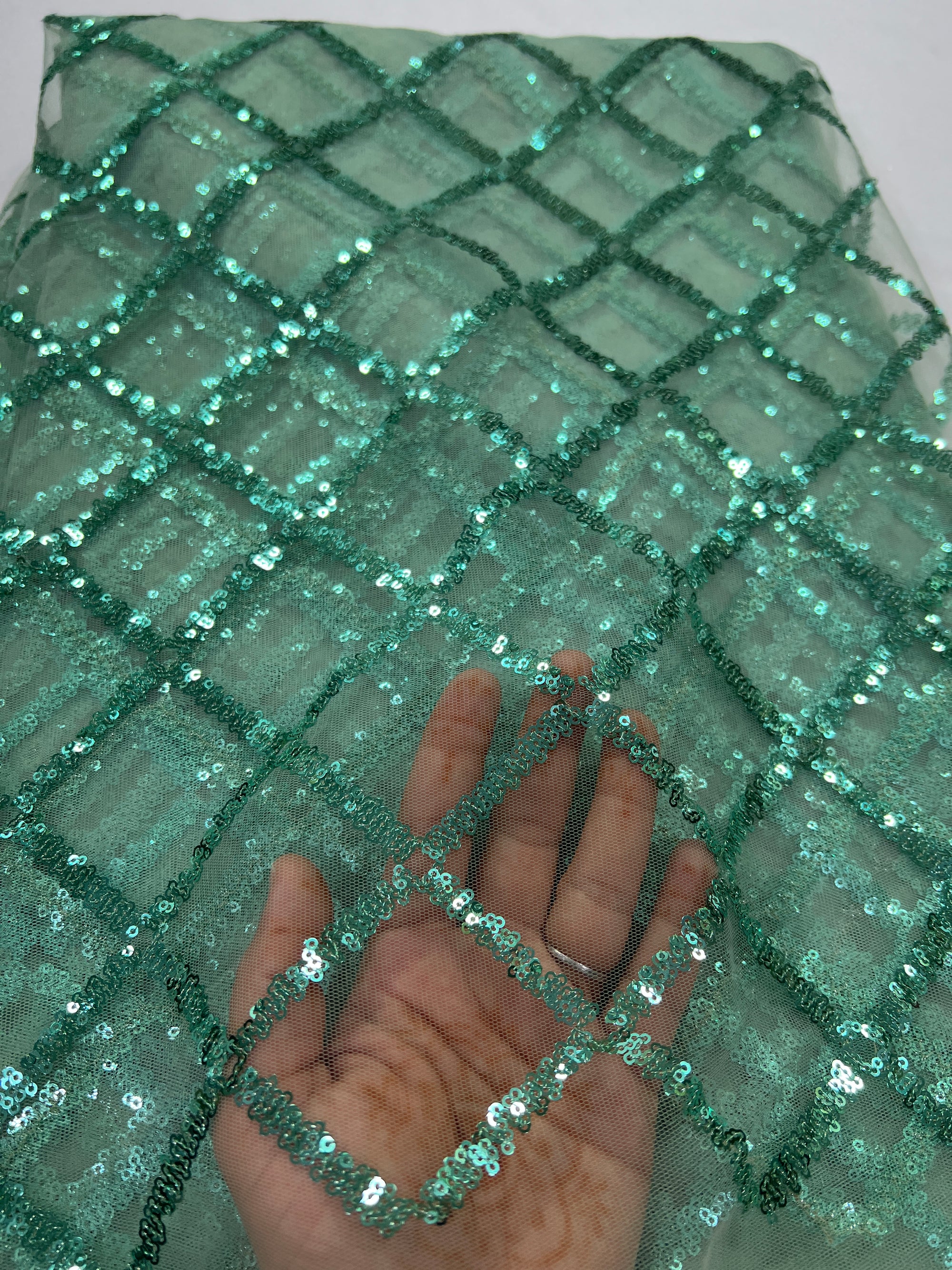 Embroidery on net fabric