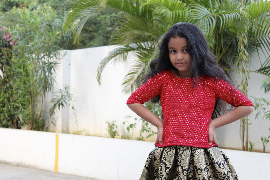 Banarasi brocade black skirt with embroidery top